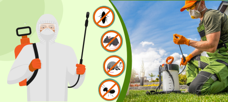 Emergency Pest Control Narre Warren 